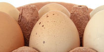 Eieren scharrel XL 10 stuks