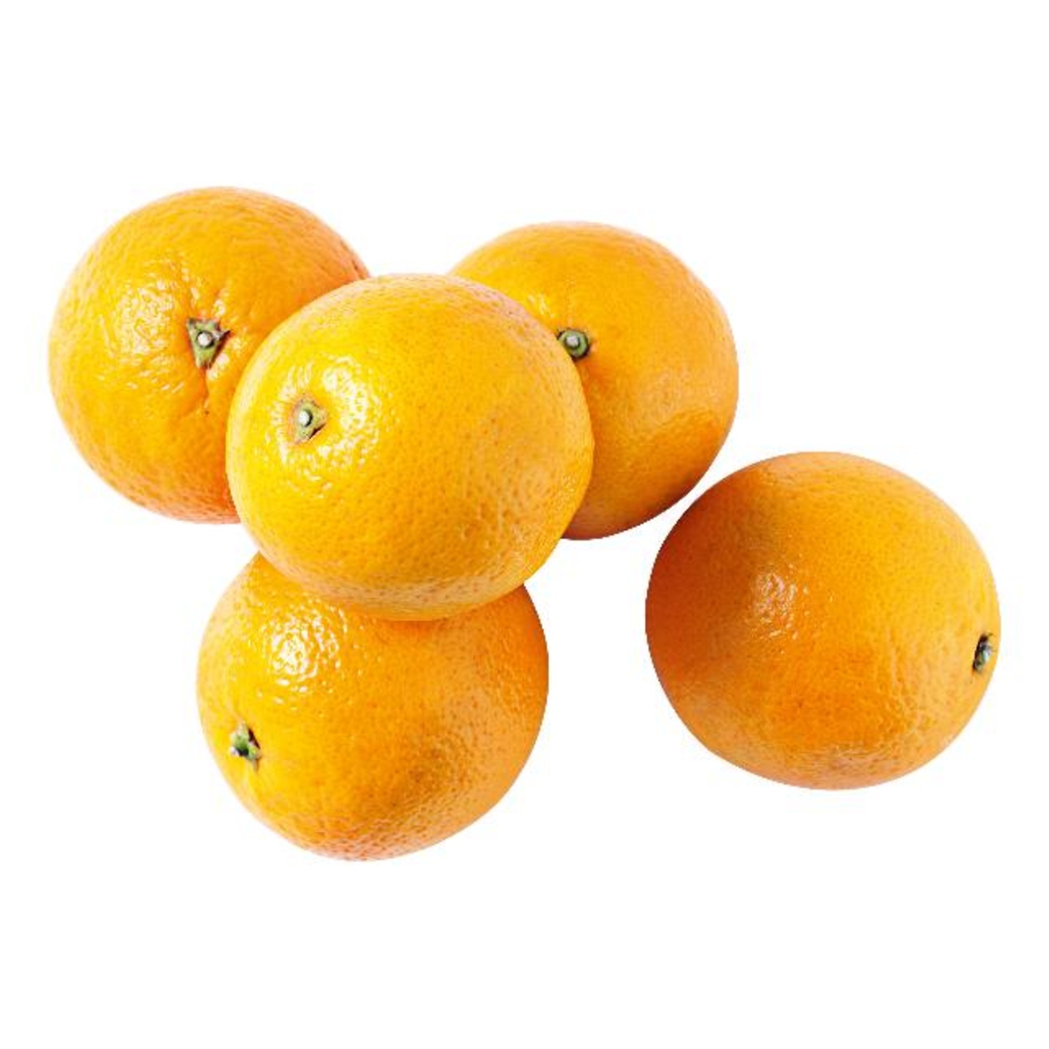 Sinaasappel Pers middel  per stuk