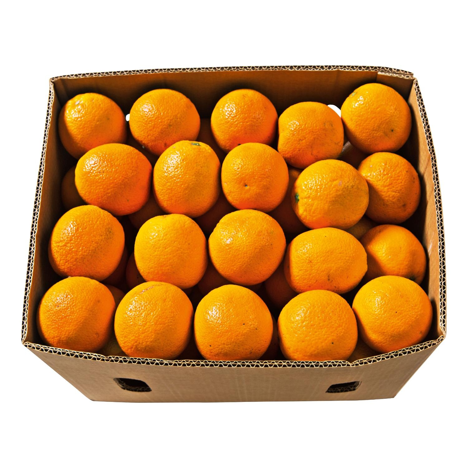 Sinaasappels Pers doos a ca 14KG