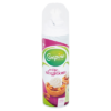 Slagroom Campina spuitbus 250ml