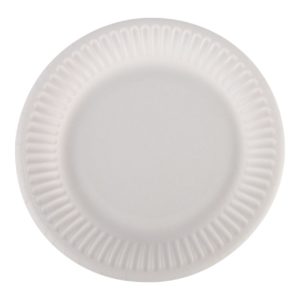 Take Dis bord 15 cm rond karton wit FSC 100 stuks